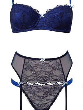Mimi Holliday Tanzanita Lace & Silk Push-Up Bra Set 32D NWT